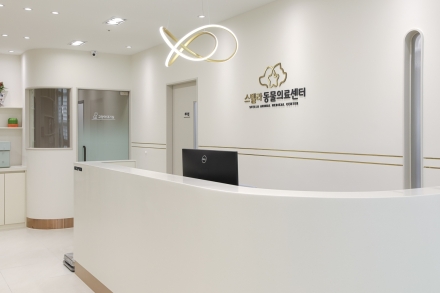 “반려동물의 맑은 눈망울, 전문의의 정교한 손길로 지킨다”… 스텔라 동물의료센터, 안과 특화 진료 화제